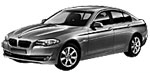 BMW F10 U3171 Fault Code